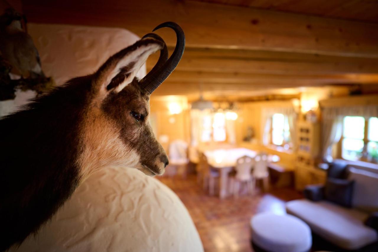 Holiday Chalet "Alpine Dreams" With Private Wellness Solčava Zewnętrze zdjęcie