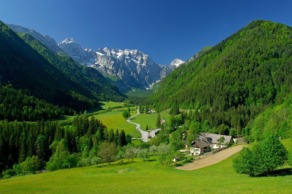 Holiday Chalet "Alpine Dreams" With Private Wellness Solčava Pokój zdjęcie