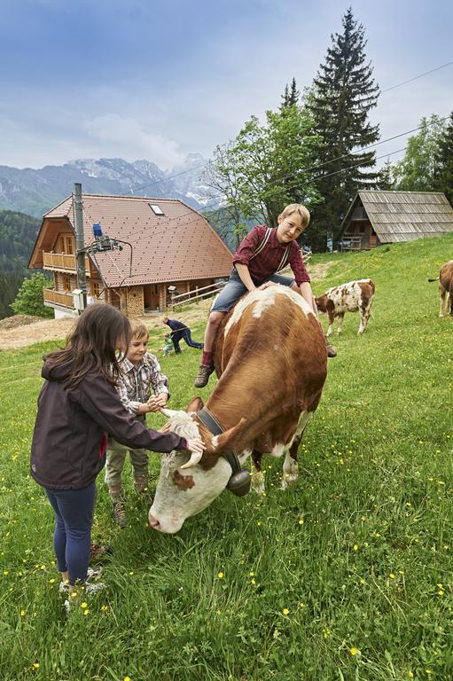 Holiday Chalet "Alpine Dreams" With Private Wellness Solčava Pokój zdjęcie