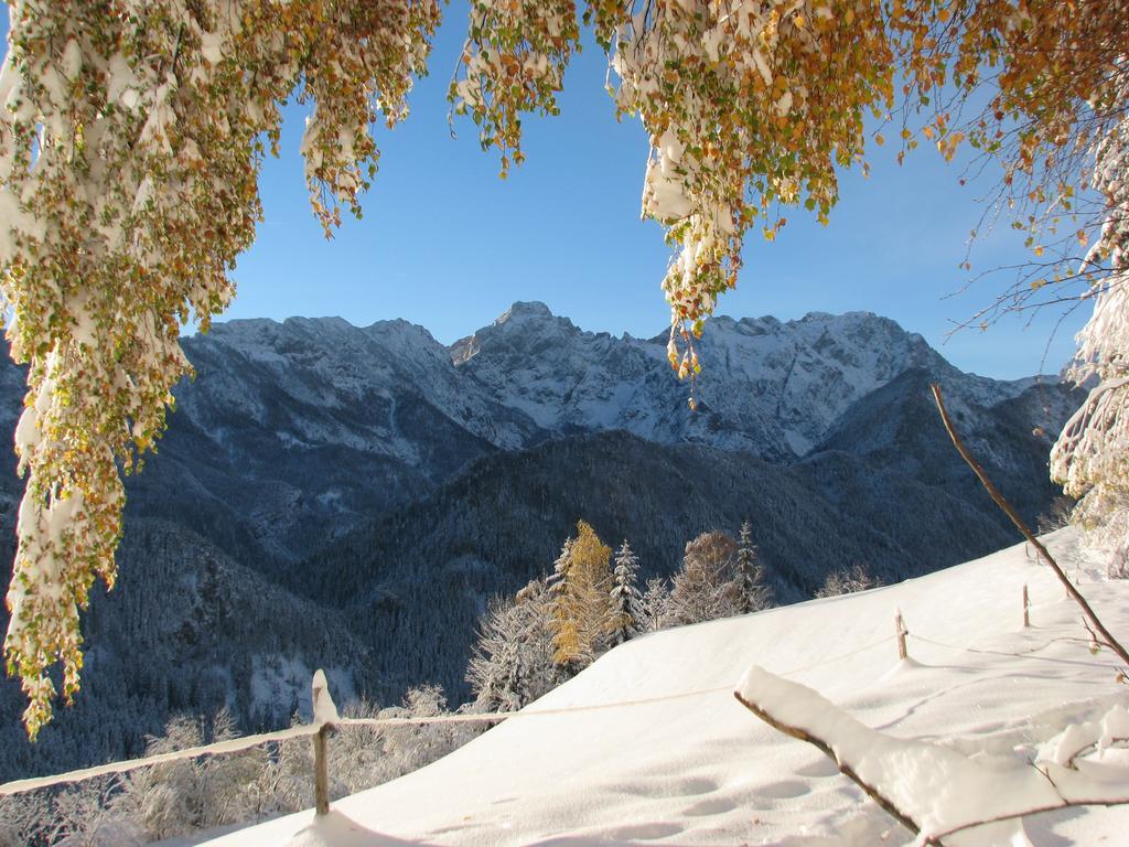 Holiday Chalet "Alpine Dreams" With Private Wellness Solčava Zewnętrze zdjęcie